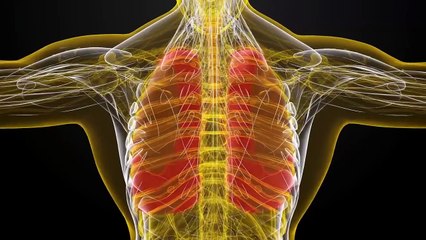 Discover the EASY Way to Control Personal Pollution with AI