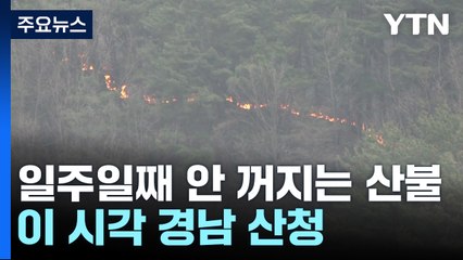 일주일째 안 꺼지는 산불...이 시각 경남 산청 / YTN