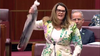 Greens' theatrics attempt to derail Labor's controversial salmon farming laws in Senate