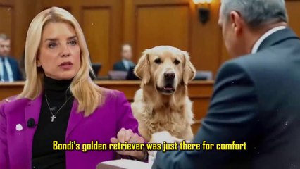 Pam Bondi Gives a Secret Signal to Her Dog, Judge Stops the Courtroom in Shock!