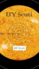 The Largest Known Star vs. Our Solar System 🌞🌌