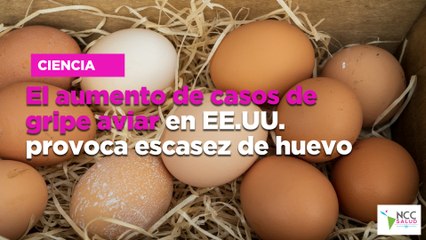El aumento de casos de gripe aviar en EE.UU. provoca escasez de huevo