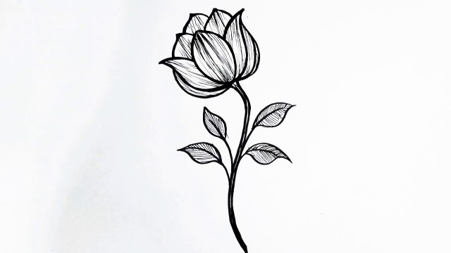 How to Draw a Flower Step by Step _ Easy Flower Drawing for Beginners