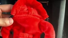 Sudaderas Drip para Cambio de Marchas