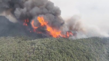 안동으로 산불 확산...국가소방동원령 추가 발령 / YTN