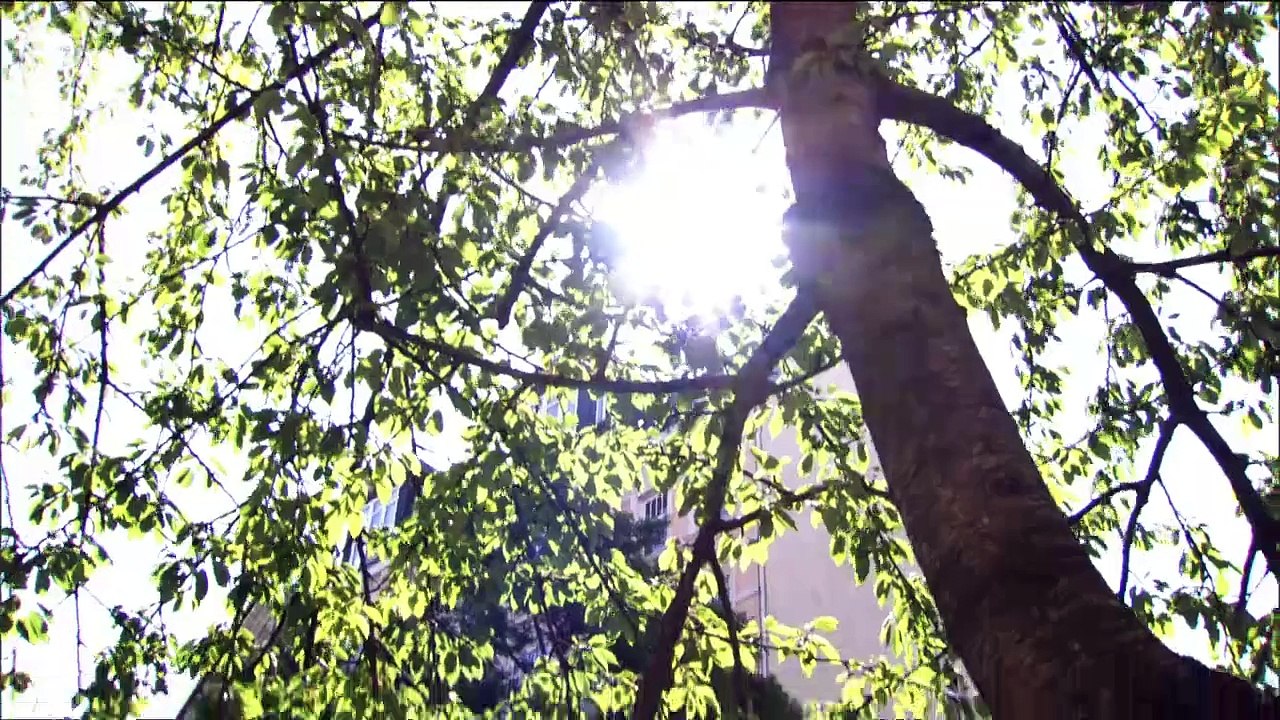 Die Pfefferkörner - Staffel 9, Folge 9. Oma Leni in Not