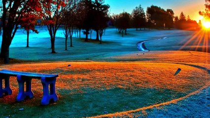 أجمل صوت قرٱن كريم في الدنيا يحرّك القلوب ❣️