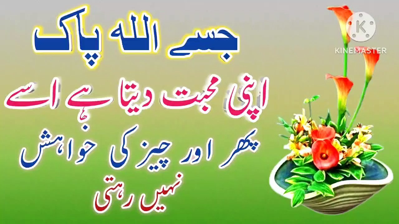 Allah Jise Apni Muhabbat💯! Urdu Quotes💥! Urdu Islamic quotes🔥! Best Urdu Quotes💥! ISLAMIC URDU MEWAT
