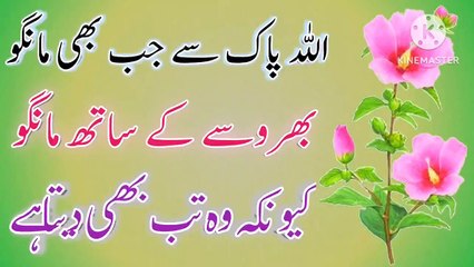 Allah Pak Se Jab Bhi Mango💯! Urdu Quotes💥! Quotes In Urdu🔥! Best Urdu Quotes💥! ISLAMIC URDU MEWAT