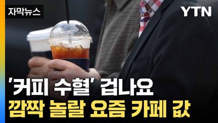 [자막뉴스] 달콤한 케이크, 씁쓸한 가격... 카페업계 '줄인상' / YTN