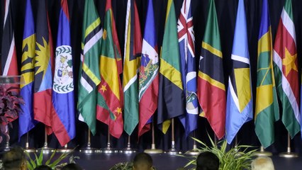 MOH: AVOID SEASONAL FLU x BIRD FLU MIX