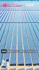 Conoce la diferencia entre un parque solar y un huerto solar