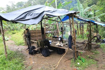Revelan detalles sobre la eliminación de campamentos de minería ilegal