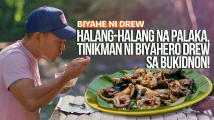 Halang-halang na palaka, tinikman ni Biyahero Drew sa Bukidnon! | Biyahe ni Drew