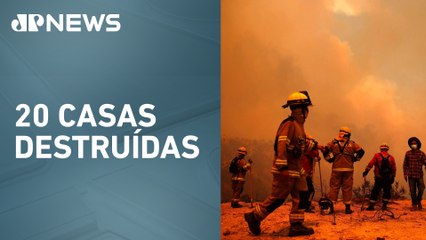 Incêndios florestais queimam 2 mil hectares no sul do Chile