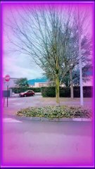 Don't let fear control your life #BR3 #motivation #success #successful #inspiration