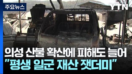의성 산불 확산에 피해도 늘어..."평생 일군 재산 잿더미" / YTN