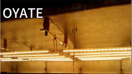 2000w 565mm OYATE Halogen Lamp Metal X Quartz Infrared Heating Elements