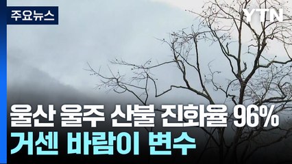 울산 울주 산불 진화율 96%...거센 바람이 변수 / YTN