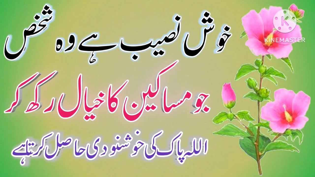 Khush Naseeb Shakhs Hay🔥! Urdu Islamic Quotes💥! Anmol Batain! Islamic YouTube🔥! ISLAMIC URDU MEWAT