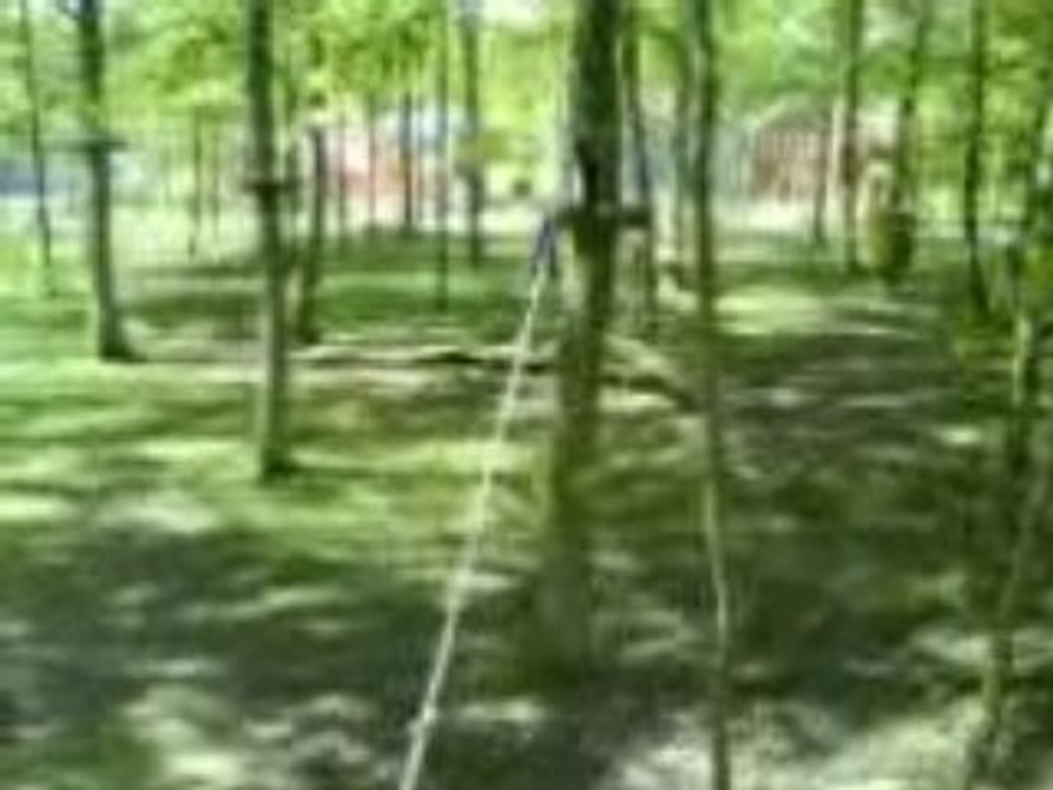 MOV01078