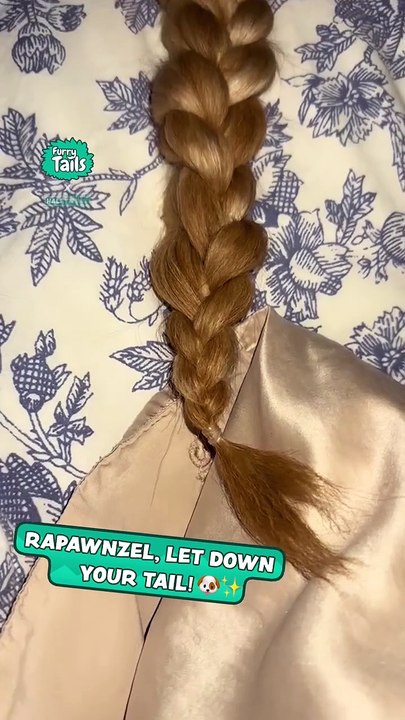 Rapawnzul tail