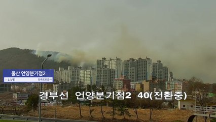 울산 울주 언양읍 화장산에 불...대응 1단계 발령 / YTN