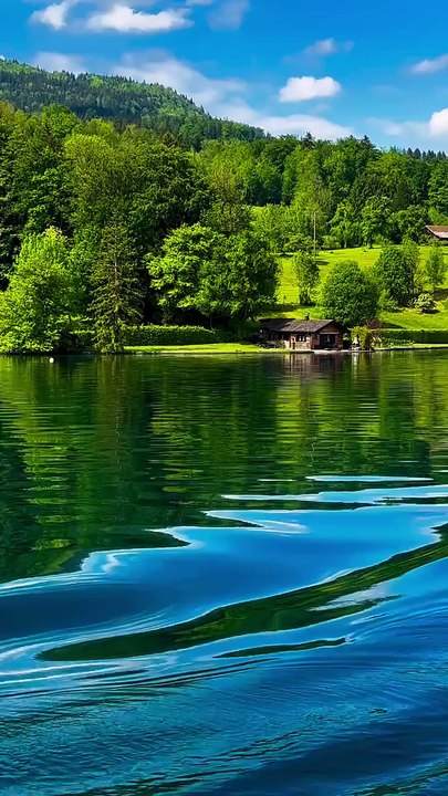 Serenity of Nature: Tranquil Lake & Lush Greenery 🌿🌊