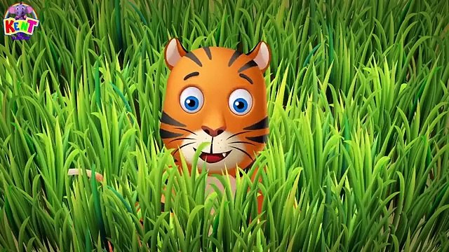 Where Do Animals Live？🌊🌍Learning Videos & Songs for Kids ✨Kent The Elephant by Pit & Penny Stories