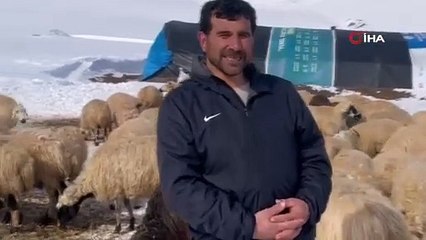 Aç kalan kurtlar köye indi! Köylüler nöbette