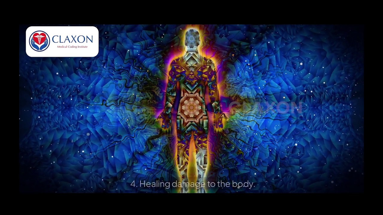 The Ultimate Guide to the Immune System: Functions, Benefits & Boosting Tips