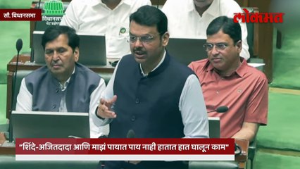 तुम्ही काड्या घाला किंवा बांबूची लागवड करा...मुख्यमंत्र्यांचा विरोधकांना इशारा…