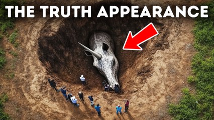 Myths That Sound True, Facts That Sound Impossible