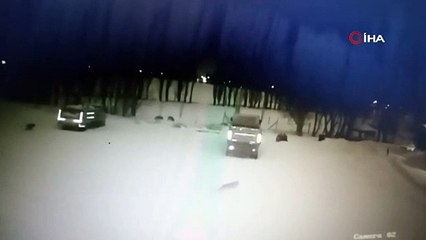 Kurt sürüsü köpeği telef etti! O anlar kamerada