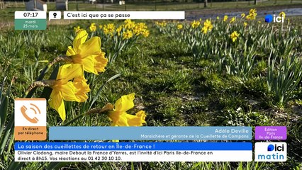 25/03/2025 - ici matin par ici Paris Île-de-France en vidéo