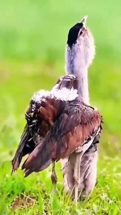 ساعة كاملة من اروع تلاوات القران الكريم