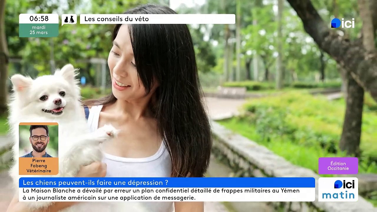 25/03/2025 - ici matin par ici Occitanie en vidéo