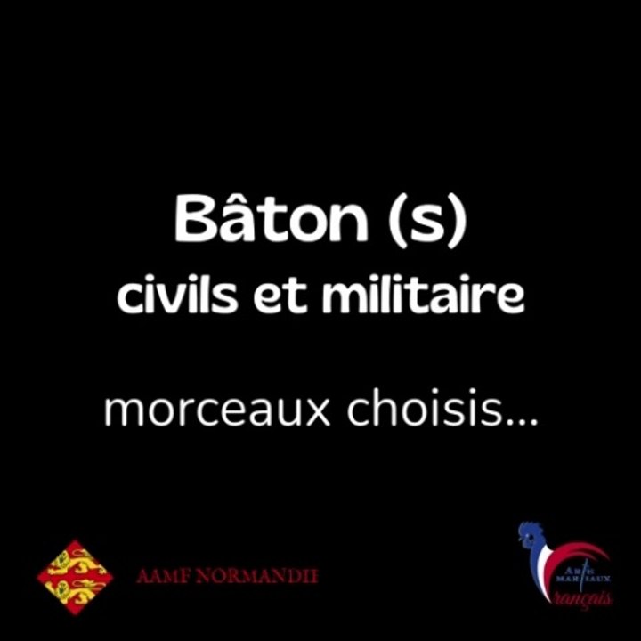 Bâtons civils et militaires - Arts Martiaux Français