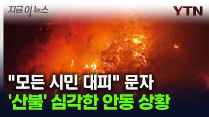 안동시 "모든 시민 안전한 곳으로 대피" 문자 발송 [지금이뉴스] / YTN