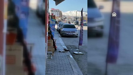 Van'da hırsız kavga kameralara yakalandı