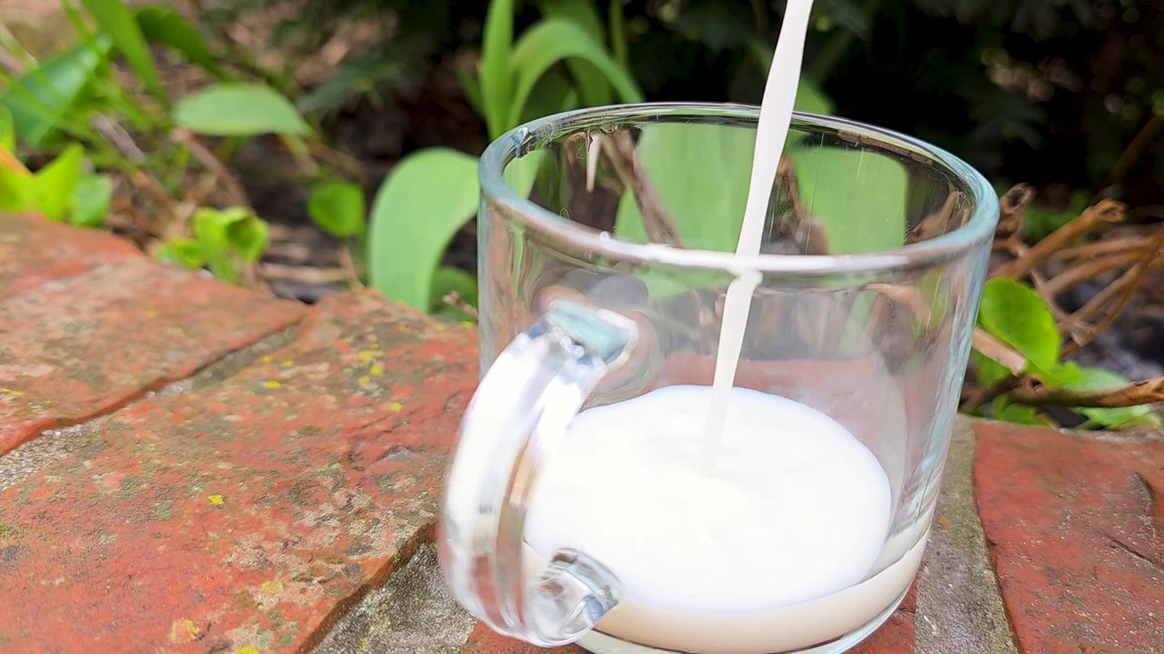 Wichtel-Geschichten: Warum die Wichtelmilch am Morgen so wichtig ist