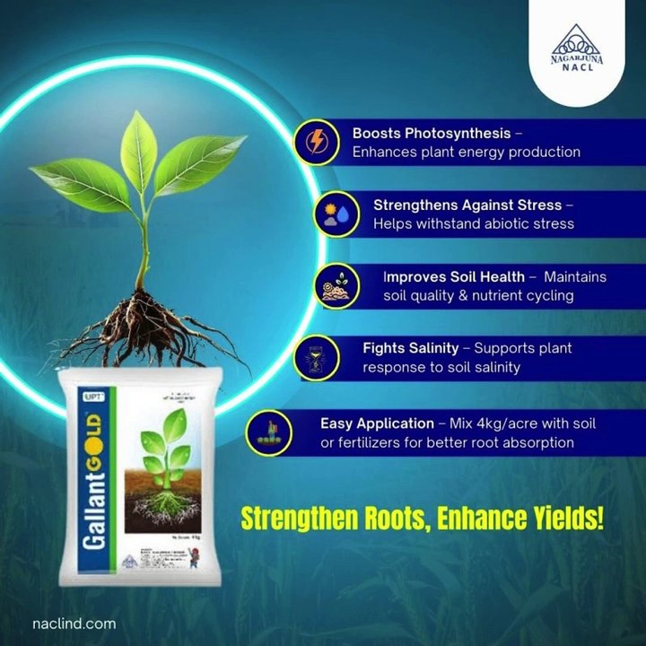 Best Agricultural Fungicides in India – NACL Industries Ltd