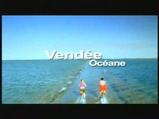 Pub Vendée tourisme pub 2008