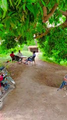 Goth  Bethak ❣ Sangat  Sukoon  iPhone ☺  #maxrecords #villagelife #larkana #sindh #vlog