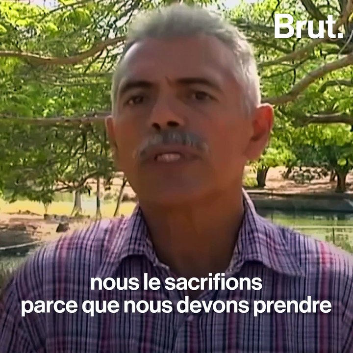 Les animaux des zoos vénézuéliens meurent de faim