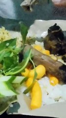 Asmr mukbang eating show CHALLANGE