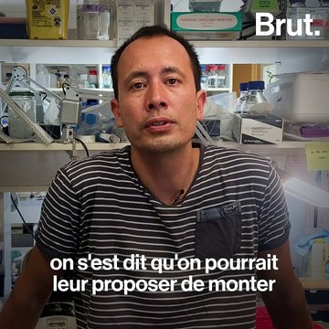 Tâm Mignot veut rendre accessible à tous les données scientifiques du Covid-19