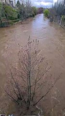 El río Duero marca su máximo caudal este año a su paso por Aranda.