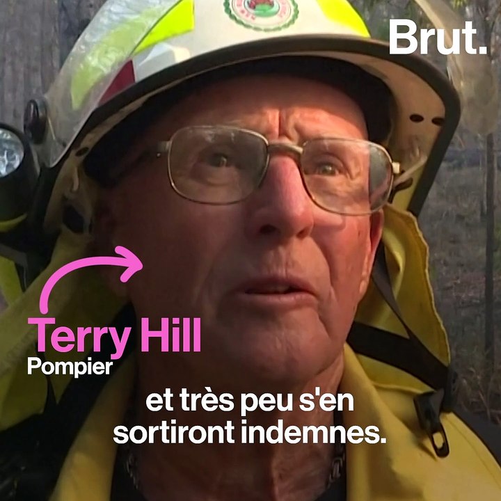 Australie : des centaines de koalas tués par les incendies