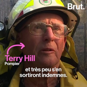 Australie : des centaines de koalas tués par les incendies